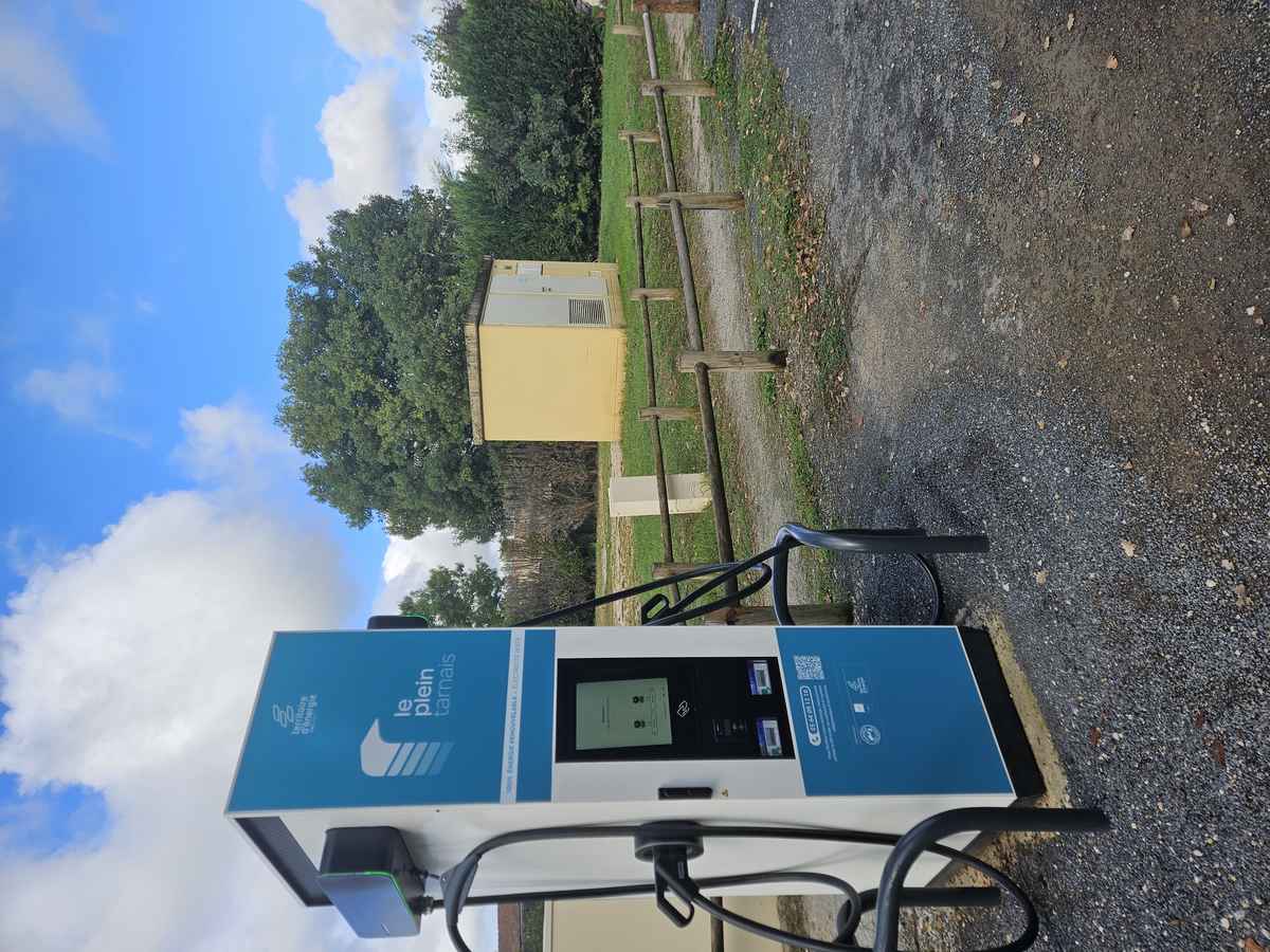 Borne électrique