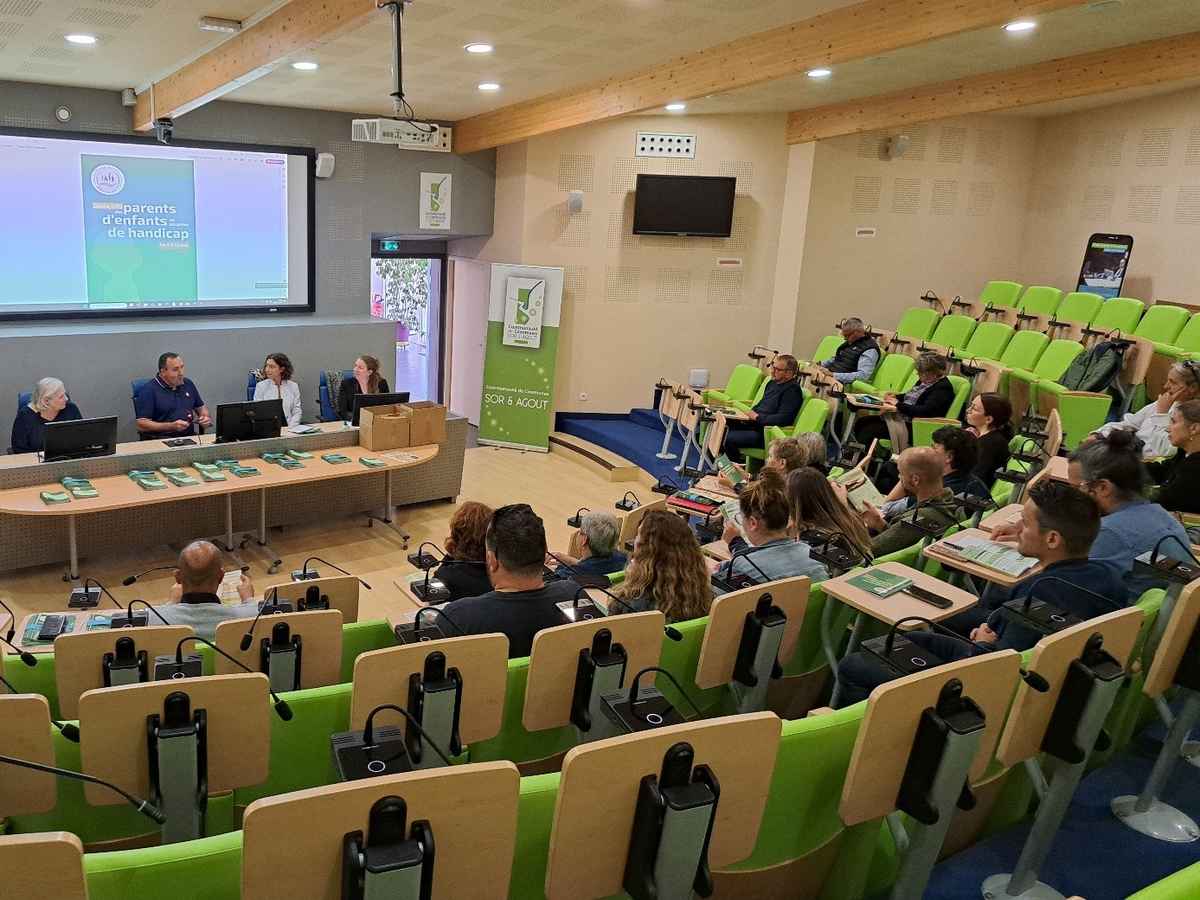 Présentation Guide des aidants