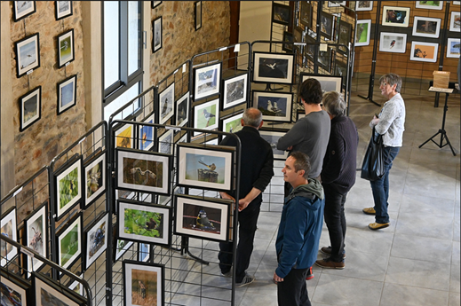 Festival photos - La Pouzaque.png