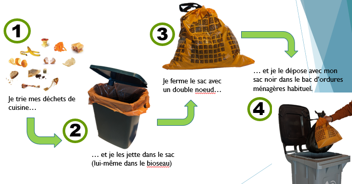 Collecte biodéchets