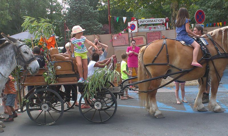 Édition 2015 - Tour en calèche