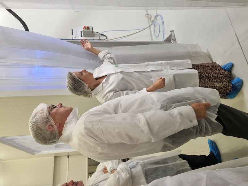 Visite BRC