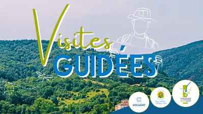 Image actu site - Visites guidées